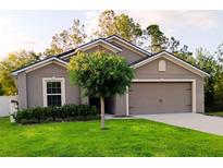 Charming single-Gathering home featuring a well-manicured lawn, complemented by a mature tree in the front yard at 27 Perch Dr, Kissimmee, FL 34759
