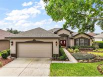 Charming home featuring manicured landscaping, a two-car garage, and a welcoming red double-door entrance at 7034 Pine Hollow Dr, Mount Dora, FL 32757