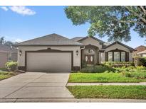Charming single-story home featuring a two-car garage, well-maintained landscaping, and a welcoming front entrance at 7034 Pine Hollow Dr, Mount Dora, FL 32757