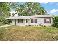Charming single-story home with a well-maintained yard and purple trimmed windows at 706 Michigan St, Mount Dora, FL 32757