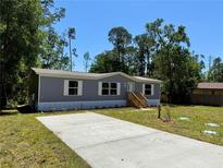 Beautiful single-story home with a concrete driveway and freshly planted landscaping at 43740 Sunset Dr, Paisley, FL 32767