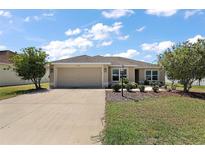 Charming single-story home featuring a well-manicured lawn and a two-car garage with concrete driveway at 3305 Dzuro Dr, Oxford, FL 34484