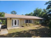Charming front exterior view with a well-maintained lawn and inviting entrance at 5029 Eagles Nest Rd, Fruitland Park, FL 34731
