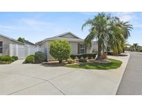 Charming single-story home featuring a well-manicured lawn, lush landscaping, and a mature palm tree at 2293 Wayland St, The Villages, FL 32162