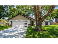 Charming single-story home featuring a modern garage door, fresh landscaping, and inviting curb appeal at 10033 Canterbury Dr, Leesburg, FL 34788