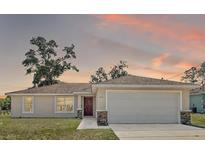 Charming single-story home with a well-maintained lawn and inviting curb appeal at sunset at 15117 Se 94Th Ter, Summerfield, FL 34491