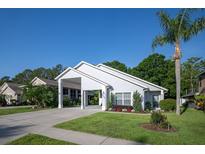 Charming single-story home with a spacious carport and well-manicured lawn with landscaped flower beds at 2539 Caithness Way, Clermont, FL 34714