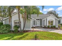 Charming single-story home with well-maintained landscaping and a cozy, inviting entrance at 507 Ventura Ct, The Villages, FL 32159