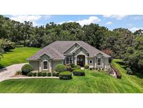 Charming home features a landscaped front yard, mature trees, and stylish architectural details at 7249 Chesterhill Cir, Mount Dora, FL 32757