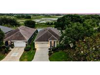 Stunning exterior view of a single-Gathering home featuring well-manicured landscaping and a private driveway at 24346 Amberleaf Ct, Leesburg, FL 34748