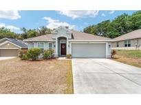 Charming single-story home with a well-manicured front yard, a two-car garage, and a welcoming entrance at 704 Chelsea Ave, Fruitland Park, FL 34731