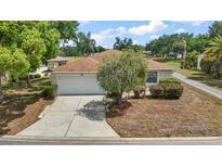 Charming single-story home with a well-maintained lawn and attached two-car garage at 705 Grand Vista Trl, Leesburg, FL 34748