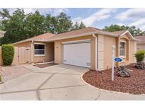 Charming single-story home with a manicured lawn and a two-car garage at 1121 Ricardo Ave, The Villages, FL 32159