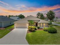 Beautiful single-story home featuring a manicured lawn, a two-car garage, and mature palm trees at 1723 Townsend Ter, The Villages, FL 32162
