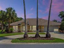 Charming single-story home featuring a well-manicured lawn, three palms, and an attached two-car garage at 4547 Inverness Dr, Leesburg, FL 34748