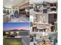Collage of multiple interior and exterior views showcasing the property's features and design at 1309 Piney Woods Path, The Villages, FL 32163