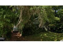 Secluded front exterior with mature trees and foliage creating a private and serene setting at 1105 Elmwood St, Orlando, FL 32801