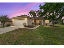 Charming single-story home featuring a well-manicured lawn, two-car garage, and landscaped flowerbeds at 12687 Se 90Th Ter, Summerfield, FL 34491