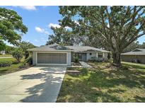 Charming single-story home with a two-car garage, mature trees, and a well-manicured lawn at 36482 Doral Dr, Grand Island, FL 32735
