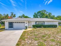 Charming single-story home with a well-maintained lawn, attached garage and walkway to the front door at 670 Oleander St, Mount Dora, FL 32757