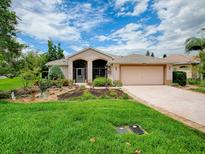 Charming single-story home featuring a well-manicured lawn, lush landscaping, and a two-car garage at 3001 Lake Huron Ln, Tavares, FL 32778