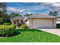 Charming single-story home featuring a two-car garage and lush green lawn at 5324 Treasure View Way, Leesburg, FL 34748