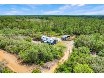Secluded country home with a metal roof, surrounded by lush greenery and a dirt driveway at 11920 Kijik Trl, Groveland, FL 34736
