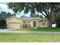 Charming single-story home with a well-maintained lawn, mature trees, and a welcoming front entrance at 3732 Fallscrest Cir, Clermont, FL 34711