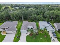 Aerial view of a well-maintained single-Gathering home with lush landscaping and a spacious backyard at 4581 Shenandoah River Trl, Leesburg, FL 34748