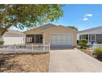 Charming single-story home with a well-maintained lawn, inviting front entrance, and attached garage at 1615 Navidad St, The Villages, FL 32162