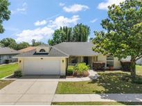 Charming single-story home with an attached two-car garage, lush landscaping, and a well-manicured lawn at 3677 Park Green Ct, Tavares, FL 32778