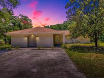 Charming one-story home featuring a well-maintained front yard and a concrete driveway at 9144 Sw 156Th Pl, Dunnellon, FL 34432