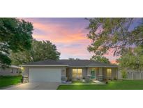 Charming single-story home with a well-maintained lawn, inviting facade, and two-car garage at sunset at 9364 Se 164Th Pl, Summerfield, FL 34491