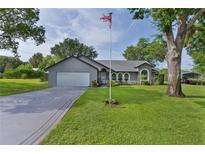 Charming single-story home featuring a well-manicured lawn, an American flag, and a spacious driveway at 36535 Eagle Dr, Grand Island, FL 32735