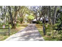 Long driveway to home surrounded by mature trees and lush landscaping at 3930 Griffin Ave, Lady Lake, FL 32159