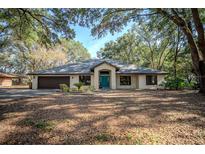 Charming single-story home with a lush, tree-filled front yard and a striking blue front door at 3930 Griffin Ave, Lady Lake, FL 32159