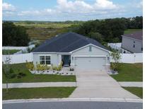 Charming single-story home featuring a well-manicured lawn, a two-car garage, and beautiful landscaping in a suburban setting at 591 Black Eagle Dr, Groveland, FL 34736