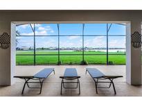 Enjoy this screened patio with an outdoor view, overlooking the lawn and waterfront view at 313 Blue Cypress Dr, Groveland, FL 34736