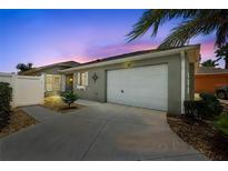 Charming home features a well-maintained front yard, two car garage and meticulous landscaping at 997 Oscar Ln, The Villages, FL 32162
