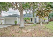 Charming single-story home featuring a two-car garage and mature trees in a well-maintained front yard at 832 Willow Run St, Minneola, FL 34715