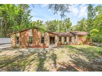 Charming single-story home featuring a unique stone and wood facade, complimented by mature palm trees and a spacious front lawn at 161 Cindy Ct, Lake Mary, FL 32746