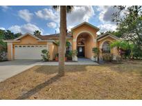 Charming single-story home with a well-manicured lawn and a two-car garage, surrounded by lush landscaping at 3310 Osprey Hill St, Clermont, FL 34714