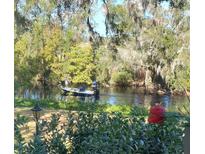Scenic view of the river, a boat, trees, and a lamp post on a clear, sunny day at 105 Avocado Cv, Leesburg, FL 34748