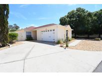 Charming single-story home with a well-maintained lawn, white garage door, and a spacious driveway at 1325 Balboa Ct, The Villages, FL 32159