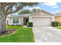 Charming single-story home with a well-maintained lawn and mature tree at 2336 Martins Run, Tavares, FL 32778