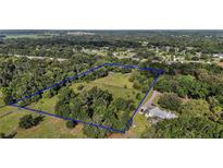 Expansive aerial view of a property with mature trees and a blue border highlighting the land at 31136 Senese Rd, Sorrento, FL 32776
