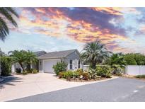 Charming home featuring lush landscaping, a well-maintained lawn, and a welcoming curb appeal set against a colorful sunset backdrop at 1664 Vinewood Ave, The Villages, FL 32162