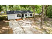 Charming single-story home with a well-maintained front yard and a welcoming entrance, featuring a driveway and manicured landscaping at 25824 Shawnee St, Sorrento, FL 32776