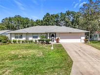 Charming single-story home featuring a well-manicured lawn, lush landscaping, and an attached two-car garage at 27141 Racquet Cir, Leesburg, FL 34748