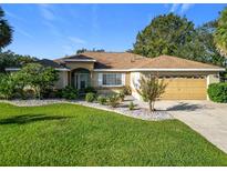 Charming single-story home featuring a well-manicured lawn and a two-car garage with clean landscaping at 13700 Se 90Th Ct, Summerfield, FL 34491